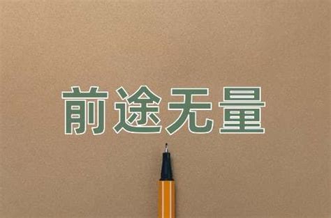 前途無量意思|前途无量（汉语成语）